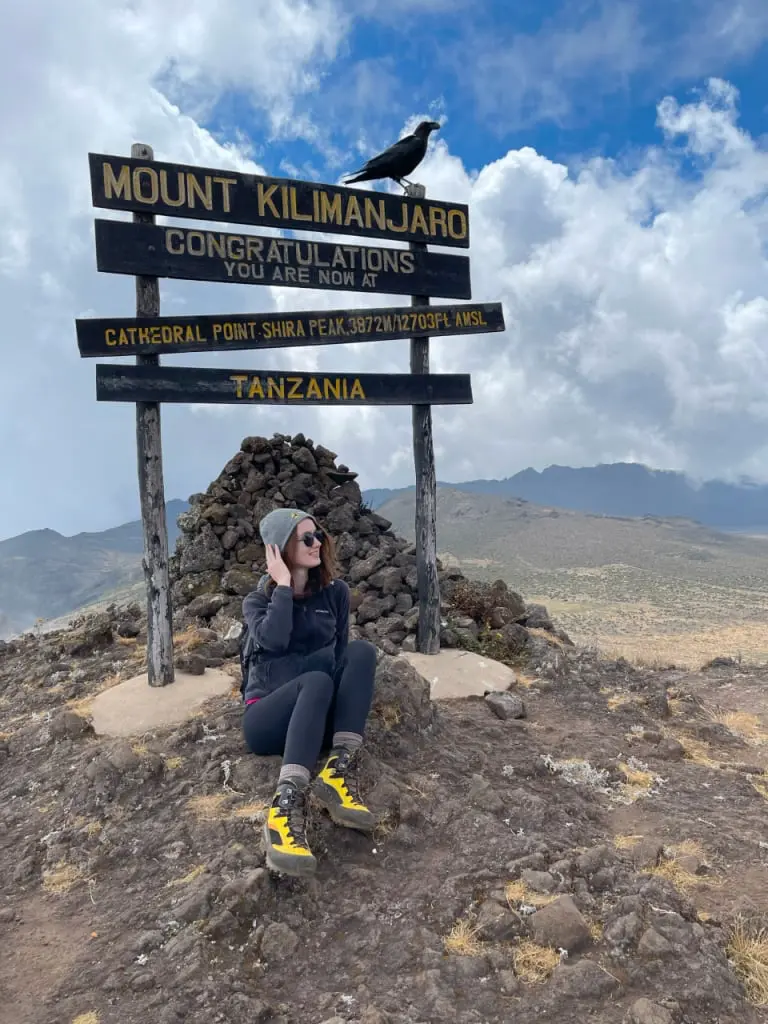 Londorosi Gate to Shira 1 Kilimanjaro Day Hike Trail