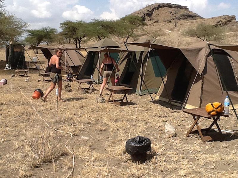 5 Days Tanzania Budget Safari