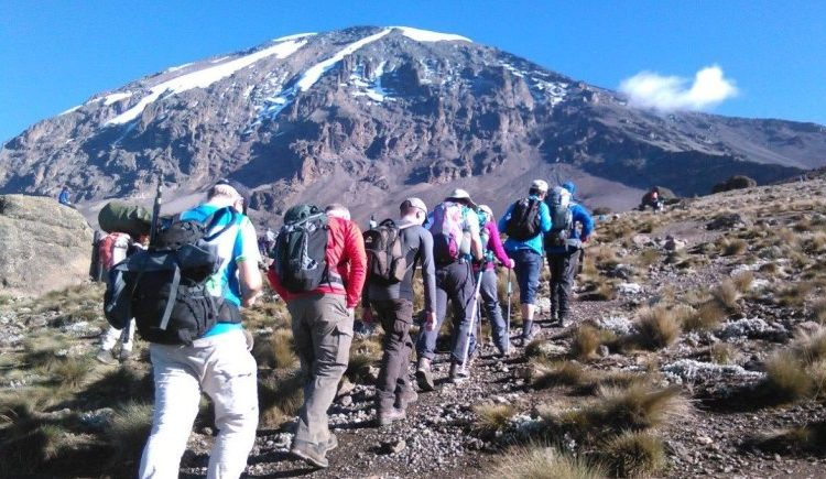 Best Northern Circuit Kilimanjaro Climb