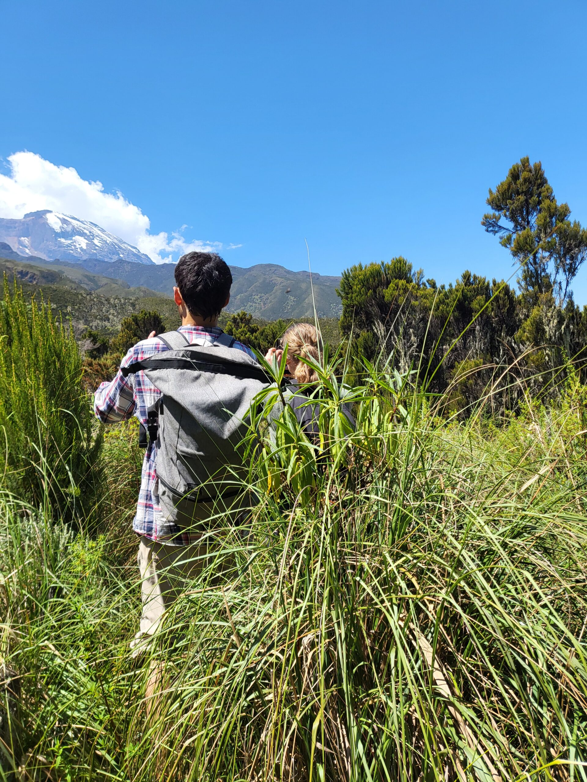 Colobus Monkeys and Rainforest Views on Machame Day Hike
