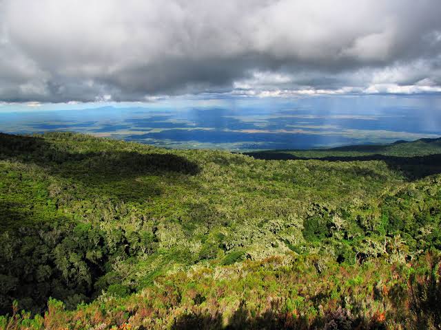 Maundi Crater Kilimanjaro Day Hike