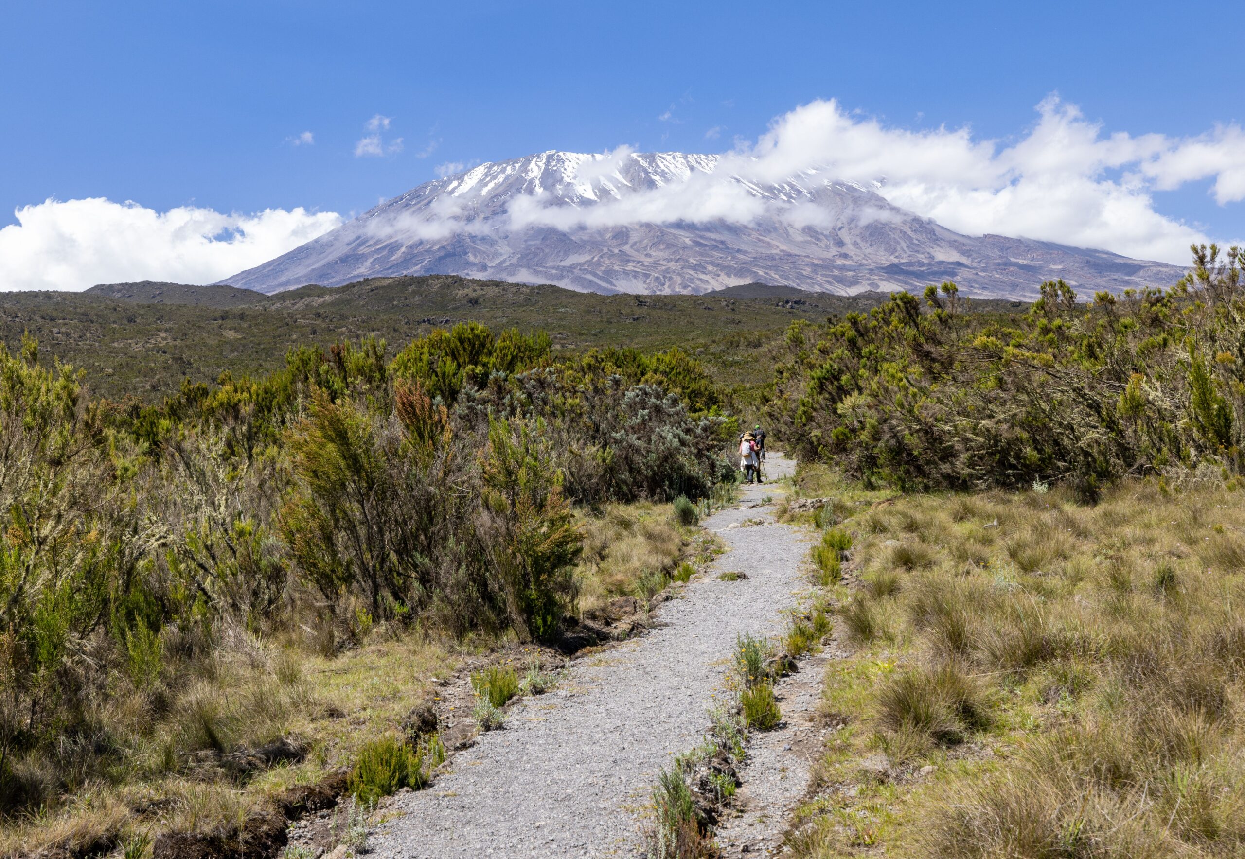Shira Day Trip Hike Kilimanjaro Views of Kibo and Mawenzi